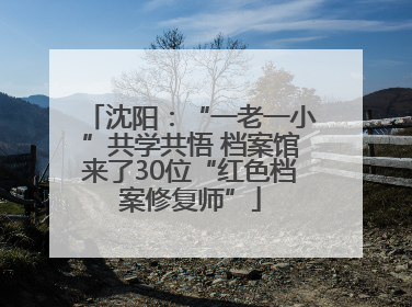 沈阳：“一老一小”共学共悟 档案馆来了30位“红色档案修复师”