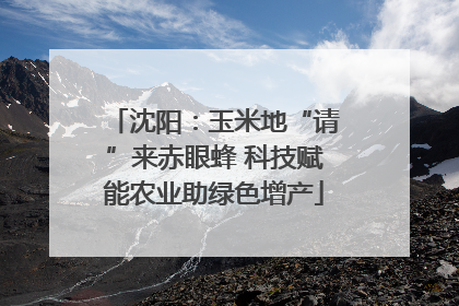 沈阳：玉米地“请”来赤眼蜂 科技赋能农业助绿色增产