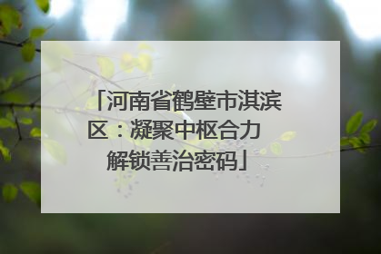 河南省鹤壁市淇滨区：凝聚中枢合力 解锁善治密码