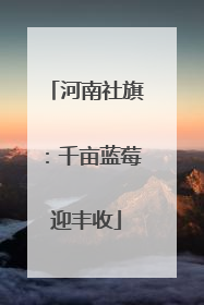 河南社旗：千亩蓝莓迎丰收