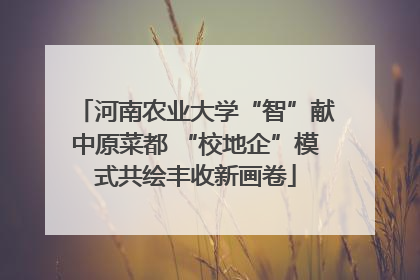 河南农业大学“智”献中原菜都 “校地企”模式共绘丰收新画卷