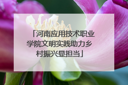 河南应用技术职业学院文明实践助力乡村振兴显担当