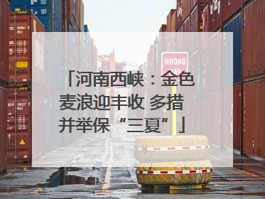 河南西峡：金色麦浪迎丰收 多措并举保“三夏”