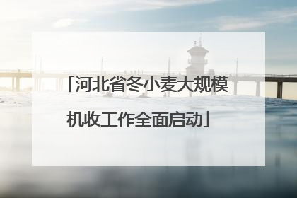 河北省冬小麦大规模机收工作全面启动