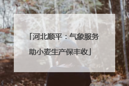 河北顺平：气象服务助小麦生产保丰收