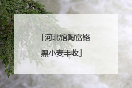 河北馆陶富铬黑小麦丰收