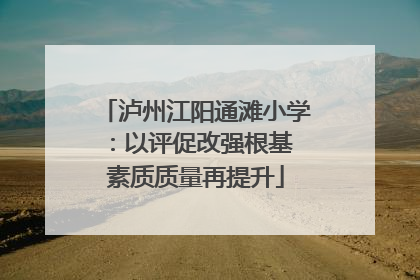泸州江阳通滩小学：以评促改强根基 素质质量再提升