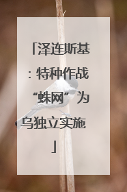 泽连斯基：特种作战“蛛网”为乌独立实施