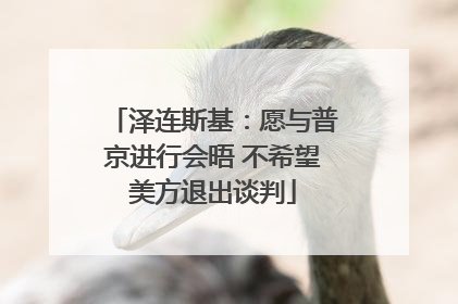 泽连斯基：愿与普京进行会晤 不希望美方退出谈判