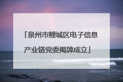 泉州市鲤城区电子信息产业链党委揭牌成立