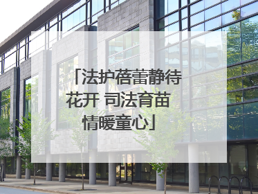 法护蓓蕾静待花开 司法育苗情暖童心