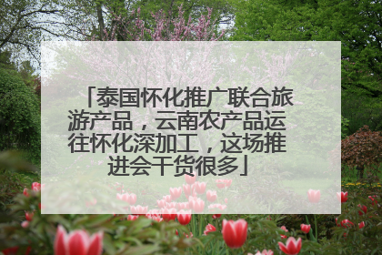 泰国怀化推广联合旅游产品，云南农产品运往怀化深加工，这场推进会干货很多