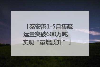 泰安港1-5月集疏运量突破600万吨 实现“量增质升”