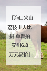 海口火山荔枝王大比拼 单颗拍卖出6.8万元高价
