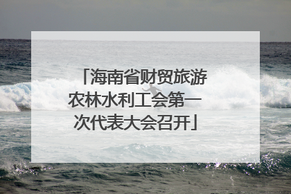 海南省财贸旅游农林水利工会第一次代表大会召开