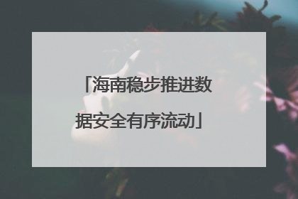 海南稳步推进数据安全有序流动