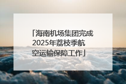 海南机场集团完成2025年荔枝季航空运输保障工作