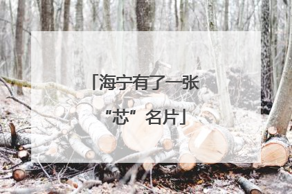 海宁有了一张“芯”名片