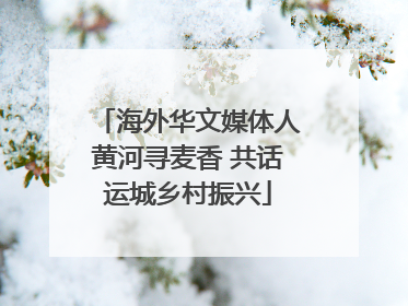 海外华文媒体人黄河寻麦香 共话运城乡村振兴