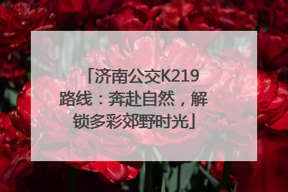 济南公交K219路线：奔赴自然，解锁多彩郊野时光