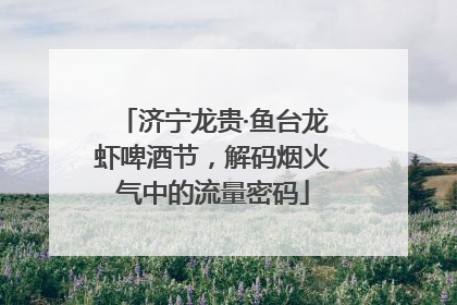 济宁龙贵·鱼台龙虾啤酒节，解码烟火气中的流量密码
