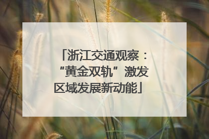 浙江交通观察：“黄金双轨”激发区域发展新动能