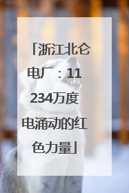 浙江北仑电厂：11234万度电涌动的红色力量