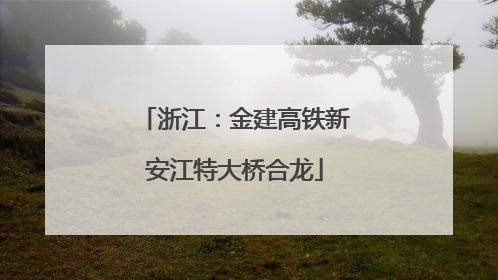 浙江：金建高铁新安江特大桥合龙