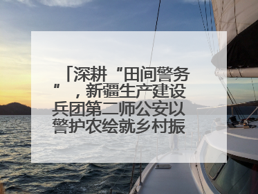 深耕“田间警务”，新疆生产建设兵团第二师公安以警护农绘就乡村振兴平安画卷