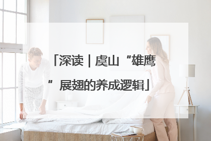 深读｜虞山“雄鹰”展翅的养成逻辑