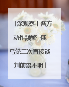 深观察丨各方动作频繁  俄乌第二次直接谈判前景不明