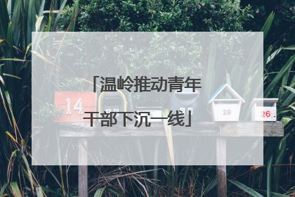 温岭推动青年干部下沉一线