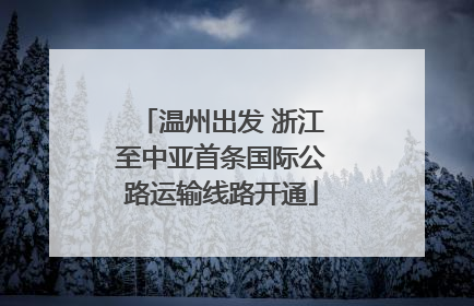 温州出发 浙江至中亚首条国际公路运输线路开通