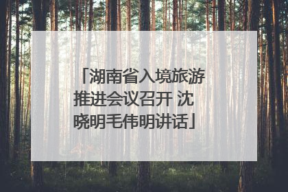 湖南省入境旅游推进会议召开 沈晓明毛伟明讲话