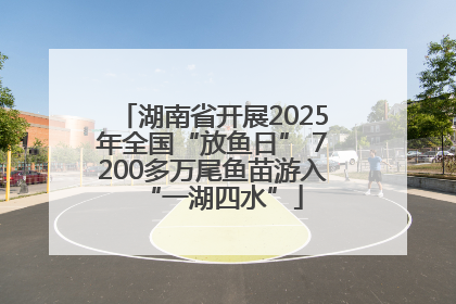 湖南省开展2025年全国“放鱼日” 7200多万尾鱼苗游入“一湖四水”