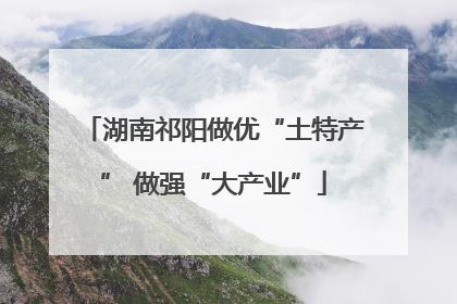 湖南祁阳做优“土特产” 做强“大产业”