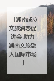 湖南成立文旅消费促进会 助力湖南文旅融入国际市场