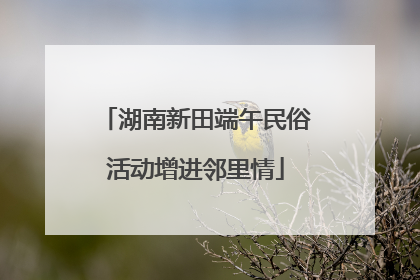 湖南新田端午民俗活动增进邻里情