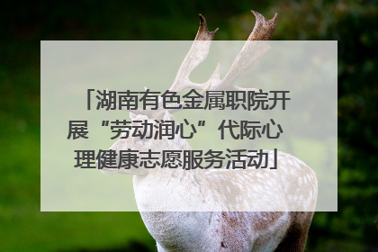 湖南有色金属职院开展“劳动润心”代际心理健康志愿服务活动