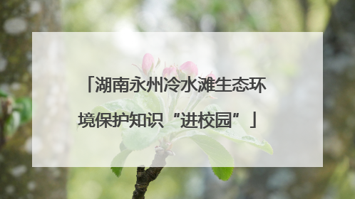 湖南永州冷水滩生态环境保护知识“进校园”