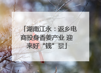 湖南江永：返乡电商投身香姜产业 迎来好“钱”景