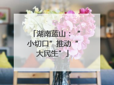 湖南蓝山：“小切口”推动“大民生”