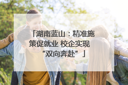 湖南蓝山：精准施策促就业 校企实现“双向奔赴”