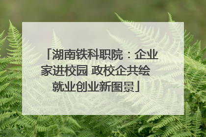 湖南铁科职院：企业家进校园 政校企共绘就业创业新图景