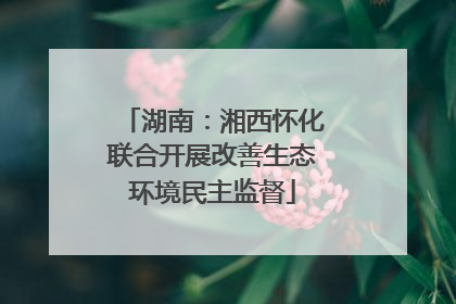 湖南：湘西怀化联合开展改善生态环境民主监督
