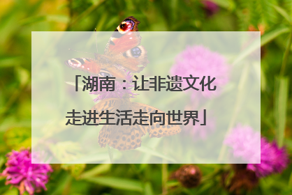 湖南：让非遗文化走进生活走向世界