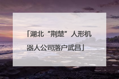 湖北“荆楚”人形机器人公司落户武昌