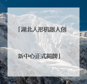 湖北人形机器人创新中心正式揭牌
