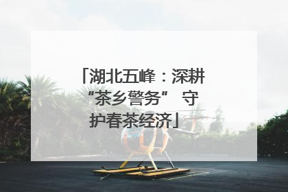 湖北五峰：深耕“茶乡警务” 守护春茶经济