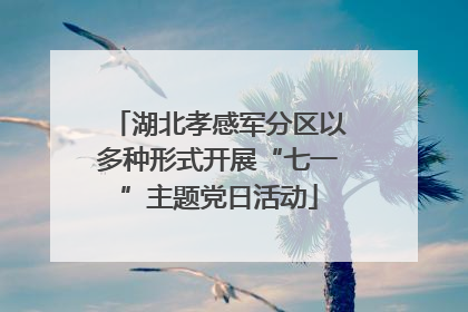 湖北孝感军分区以多种形式开展“七一”主题党日活动